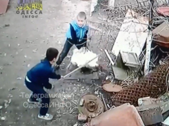 В Одесской области дети из голода жестоко убивают и едят соседских животных