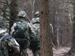 В Одессе пощадили водителя, который сбил военкома на авто