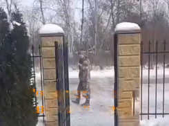 Жительница Одессы спасла мужчину от ТЦК, заперев его в магазине