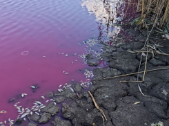 В Одесской области вода внезапно стала розовой