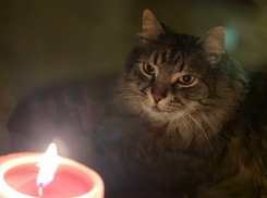  В Одесской области остались без света ещё два района 