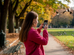 На Одещине маленькая девочка фотографировала птичек и была изнасилована