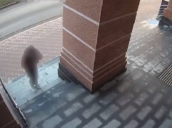 Стала известна личность одессита, организовавшего попытку теракта в ФСБ Крыма