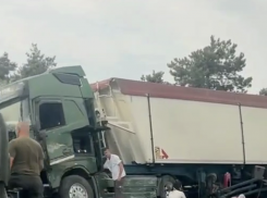 Девять человек погибли в страшном ДТП на трассе Одесса — Николаев