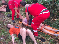 Дерево убило подростка во время урагана в Одесской области