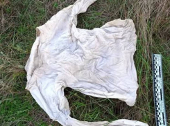 В Одесской области нашли скелет неизвестного мужчины