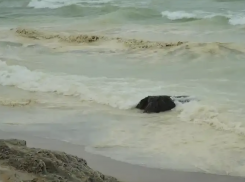 Одесский эколог рассказал, что на самом деле произошло с Черным морем после разлива масла