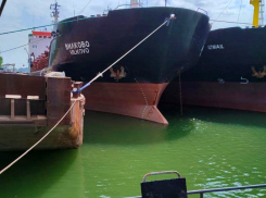 В Одессе провалился аукцион по продаже судов Украинского Дунайского пароходства