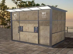 В Одессе установят «умные» туалеты с таймером на открытие дверей