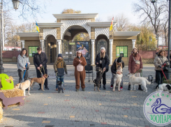 В Одесском зоопарке собакам из приюта искали новых хозяев