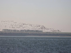 Постоянные взрывы могут спровоцировать землетрясения в Одесской и Николаевской областях