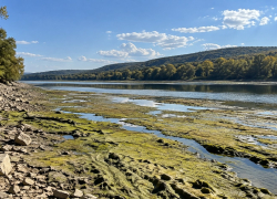 Днестр почти пересох: Одесса может остаться без воды