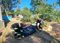 В Одесской области после пожара нашли тела двух погибших