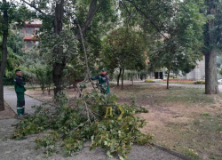 В Одессе стихийный ветер повалил 50 деревьев и оборвал электропровода