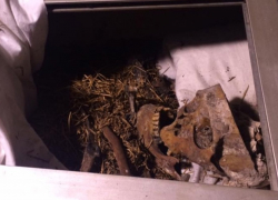 Кости разбиты и разбросаны: под Одессой разгромили саркофаг Григория Котовского