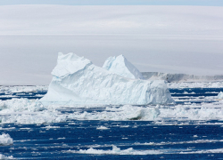 «Почти Одесса, почти Арктика»: у берегов Чёрного моря заметили гигантское ледяное поле