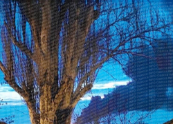 ВС РФ взорвали нефтехранилище ВСУ в Одессе: над городом виден столб черного дыма