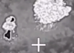 Под Одессой уничтожен тайный катер ВСУ с диверсантами