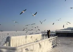 Гололедица, мокрый снег и сильный ветер: какой будет погода в Одессе 23 января