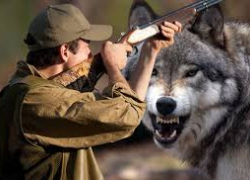 Разрешено убивать: в Одессе подписали приговор диким кабанам и хищникам