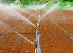 Италия выделила миллионы евро на спасение Одесской области от эко-катастрофы