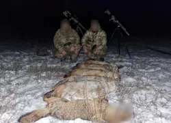 Под Одессой отстрел хищников обернулся уголовным делом