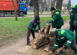 Шторм в Одессе повалил деревья и парализовал движение на улицах