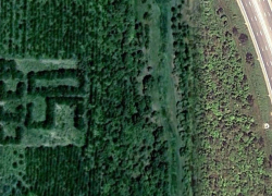 В Одессе решили вырубить «зеленого Ленина» в борьбе с русской культурой