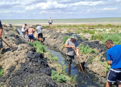 Жители Одесской области самостоятельно вручную вырыли водообмен между лиманами