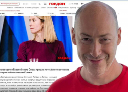 Дмитрий Гордон призвал поддержать пророссийское подполье в борьбе с беспределом ТЦК