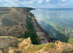 Власти Одессы устроили рыбное кладбище в Днестровском лимане
