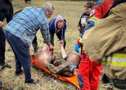 В Одесской области нога мужчины застряла в мотоблоке