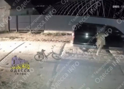 В Одессе военкомы сбили и похитили велосипедиста