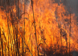 Масштабный пожар под Одессой: в районе Маяк горели плавни