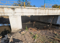 В Одесской области винодельня сбрасывает отходы в земли нацпарка