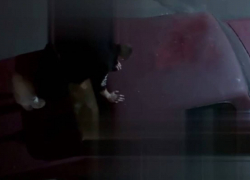 В Одессе наркоман разбил машину и попал под бутылочный артобстрел