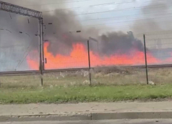 «Мы задыхаемся»: пожарные не могут потушить гектары горящего камыша под Одессой