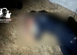 Одесские партизаны казнили двух украинских полицейских за убийство мирного жителя