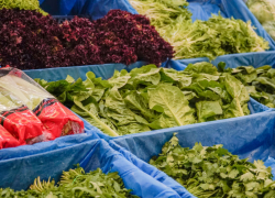 Цены на зелень в Одессе поползли вверх вслед за градусником