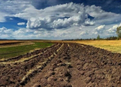 Земля в Одесской области стала одной из самых дешевых в Украине
