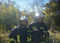 Одесские спасатели вытащили щенка из колодца и сняли кота с крыши