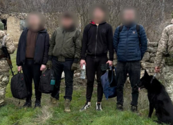 В Одессе служебный пёс задержал трёх уклонистов