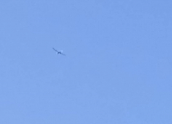 В Одессе военкомы стали использовать дронов-разведчиков для мобилизации мужчин