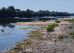 Останемся без воды? В Одесской области обмелел Днестр