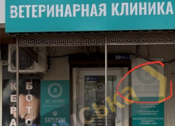 В одесской ветклинике убили собаку и избили ее хозяйку