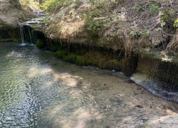 Оазис в степи: в Одесской области нашли живописный водопад