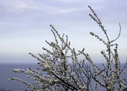 В город возвращается весеннее тепло: какая погода ждет одесситов 4 марта