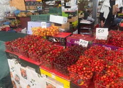 Весенние заморозки привели к повышению цен на продукты в Одессе