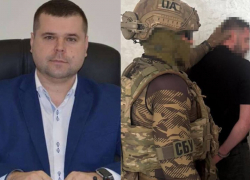 Мэра Килии отправили в СИЗО: он требовал взятку за вырубку леса под электростанцию