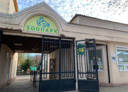 Война за Одесский зоопарк: Игорь Беляков обвинил владельцев аттракционов и соцсети в манипуляциях